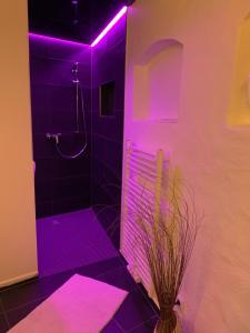 ElsterheideAltes Gewölbe mit Sauna und Whirlpool im Außenbereich的浴室拥有紫色的灯光和花瓶淋浴