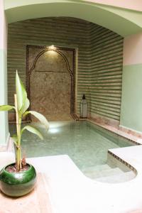 马拉喀什里亚德阿姆拉酒店的室内泳池,室内种植植物