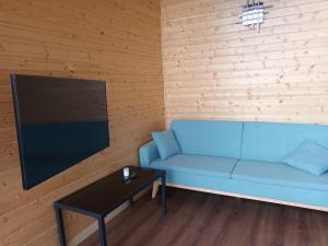 贝萨卢CAMPING DE BESALU的客厅配有蓝色的沙发和电视