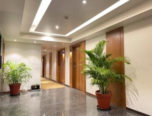 勒克瑙Comfort Hotel Vista的建筑里两棵盆栽的走廊