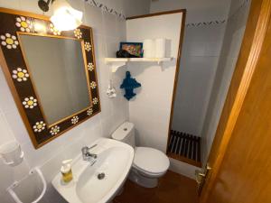 阿尔内斯Cal Manso的一间带卫生间、水槽和镜子的浴室