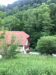 Loče pri PoljčanahNiceHead spacious home between Maribor and Celje的田野上带红色屋顶的小房子