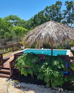 特雷热比奇Azteca Villas的一个带草伞和一些植物的游泳池