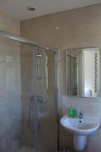 BallaghnatrillickBen Haven Self Catering Accommodation的带淋浴和盥洗盆的浴室