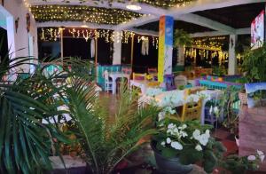 萨兰托Hostal Los balcones的餐厅拥有色彩缤纷的桌椅和植物