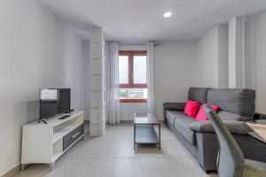 大加那利岛拉斯帕尔马斯Vegueta Luxury Apartments的带沙发和电视的客厅
