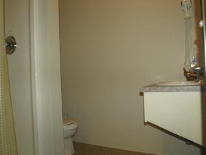 圣安娜德蒙国际歌拉维埃耶高酒店的一间带卫生间和水槽的浴室