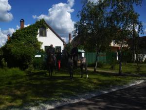 霍尔托巴吉Hajdu Lovasudvar Hortobágy的两个人在房子前骑马