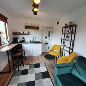 科利比塔Tiny House Colibita的带沙发的客厅和厨房