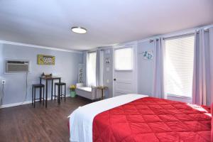 塔尔萨BLUE FLAMINGO'S ADORABLE GUEST HOUSE -TU-Cherry St-Expo-Downtown-11t的一间卧室配有一张带红色毯子的床