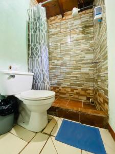蒙泰韦尔德哥斯达黎加拉苏艾特住宿加早餐旅馆的一间带卫生间和砖墙的浴室