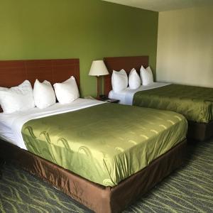 奥兰多Quality Inn & Suites Winter Park Village Area的绿墙旅馆客房的两张床