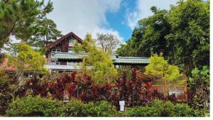 碧瑶Log Cabin Hotel - Safari Lodge Baguio的被树木和植物所环绕的房子