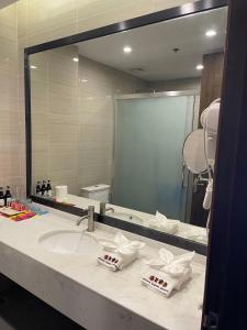 爱妮岛爱妮岛花园度假酒店的一间带水槽和大镜子的浴室