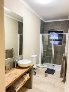 开普敦UysTUYS的一间带水槽、卫生间和淋浴的浴室