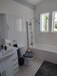 韦尔东的埃斯帕隆Les Reflets du Lac的浴室配有卫生间、盥洗盆和浴缸。