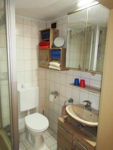 滨湖瓦京Plattenberger Hof的一间带卫生间和水槽的浴室