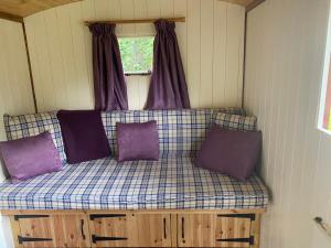 BaddileyThe Shepherd's Hut - Wild Escapes Wrenbury off grid glamping - ages 12 and over的一个小客房内的一张沙发,配有紫色枕头