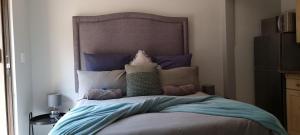 比勒陀利亚The Moore Guesthouse的一间卧室配有一张带蓝色床单和枕头的床。