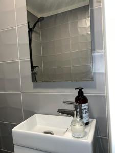 奥斯陆Leilighet i Gamle Oslo的浴室水槽配有镜子和1瓶肥皂