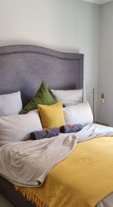 比勒陀利亚The Moore Guesthouse的床上有三个枕头