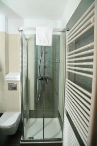 锡纳亚La Monitori的一间带卫生间的浴室内的玻璃淋浴间