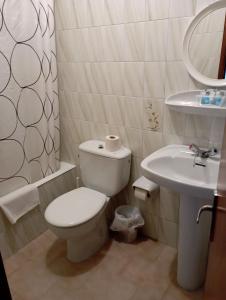 卢阿尔卡Room in Lodge - Double and single room - Pension Oria 1的一间带卫生间和水槽的浴室