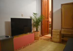 圣玛尔塔Casa Rosa - Alma Hotels的客厅配有平面电视和植物