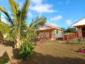 安加罗阿cabañas Te Pito Kura的院子里有棕榈树的房子