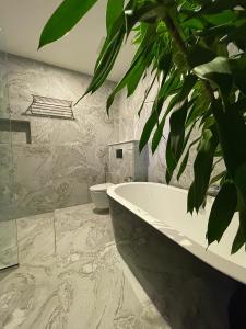 图鲁斯杜Samura Panorama Guest House的带浴缸和植物的浴室