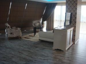 瑟奇科伊金帕拉斯酒店 的带沙发和电视的客厅