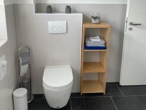 普劳西Ferienhaus Rupnow Plau am See的浴室配有白色卫生间和木制架子。