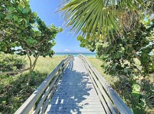 克利尔沃特Steps From the beach, renovated 1bd 1 bth的一条通往海滩的木路,一条棕榈树