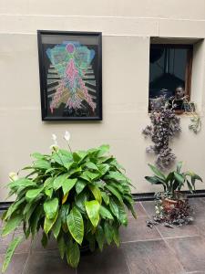 萨尔塔Samsara Hotel Salta的墙上的植物画