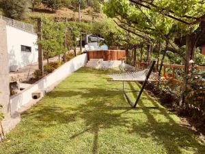 阿尔库什迪瓦尔德维什Lagoon Tiny House的草地上带吊床的院子