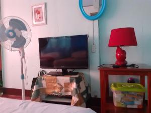 曼巴豪Knights-Apple Inn的卧室配有平面电视和风扇。