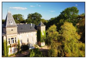 Ay-sur-MoselleChâteau de Logne的塔楼房屋的空中景观