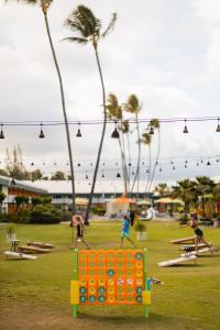 卡帕阿考伊海滩酒店的一群人在棕榈树公园玩耍