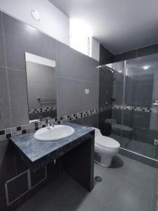 莫克瓜Tierra del Sol Centro的一间带水槽、卫生间和镜子的浴室