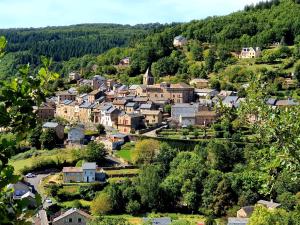 Saint-BeauzélyAppartement au calme au cœur du village的山丘上的一个小镇,有房子和树木