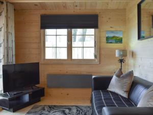 SalinePinewood Cabin的带沙发和电视的客厅