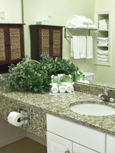 Spring Lake Inn & Suites - Fayetteville的一间浴室
