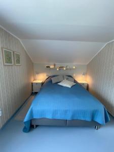 斯沃尔韦尔Unique and charming house at the foot of Lofoten's highest mountain的一间位于客房内的蓝色床卧室