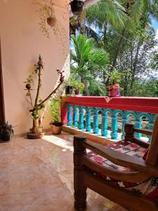 阿利鲍格Bageecha B&B- Vaayu的客房设有带盆栽植物和长凳的阳台。