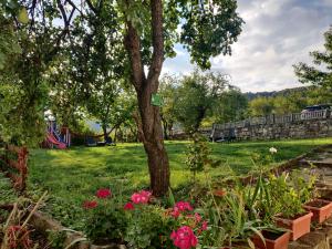 特里亚夫纳Старата къща - Трявна的草上种着树木和花的公园