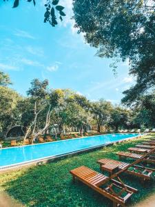锡吉里亚NIVADOO RESORT SIGIRIYA的旁边设有木制野餐桌的大型游泳池