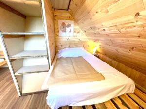 沙斯特雷La cabane au pied des pistes的小木屋内的小房间,配有一张床