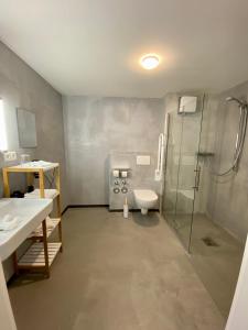 吕贝克The Layhead B&B的带淋浴、卫生间和盥洗盆的浴室
