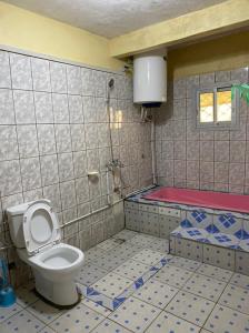 BueaApex guest facility的一间带卫生间和浴缸的浴室