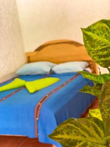 兰金El Mirador de Tansu的一间卧室配有一张带蓝色床单和植物的床